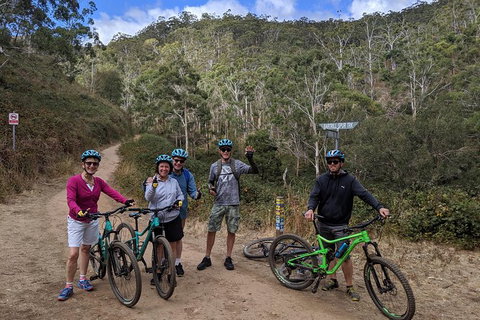 Mount Lofty Descent Bike Tour From Adelaide - Australia Accommodation 6