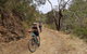 Mount Lofty Descent Bike Tour From Adelaide - thumb 8