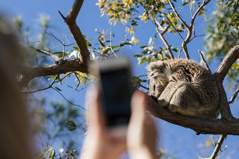 Exceptional Port Lincoln, Seafood And Wildlife Tour - Australia Accommodation 0