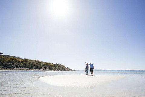 Exceptional Port Lincoln, Seafood And Wildlife Tour - Australia Accommodation 1