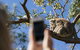Exceptional Port Lincoln, Seafood And Wildlife Tour - thumb 2
