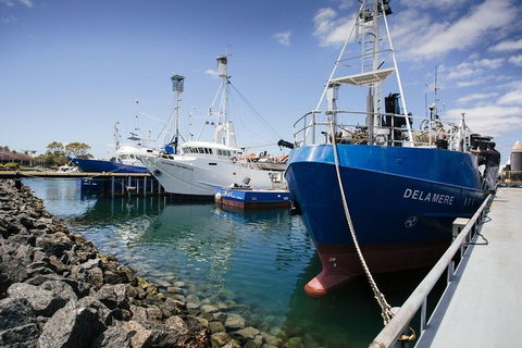 Exceptional Port Lincoln, Seafood And Wildlife Tour - Australia Accommodation 8