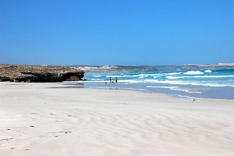 Exceptional Port Lincoln, Seafood And Wildlife Tour - Australia Accommodation 4