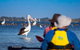 Half-Day Kayaking Tour In Coorong National Park - thumb 1