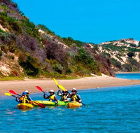 Half-Day Kayaking Tour in Coorong National Park - Australia Accommodation