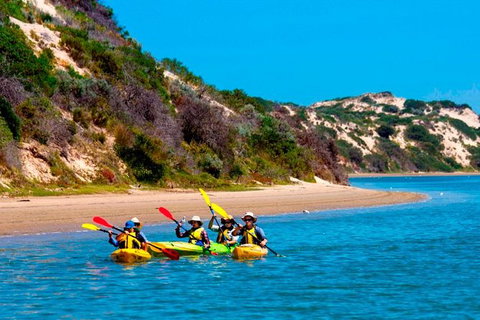 Half-Day Kayaking Tour In Coorong National Park - Australia Accommodation 0