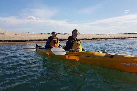 Half-Day Kayaking Tour In Coorong National Park - Australia Accommodation 5