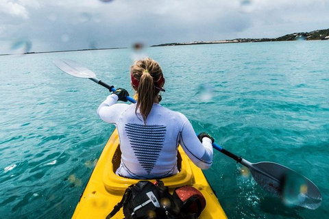 Half-Day Kayaking Tour In Coorong National Park - Australia Accommodation 7