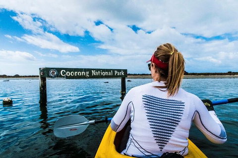 Half-Day Kayaking Tour In Coorong National Park - Australia Accommodation 4