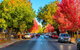 McLaren Vale Wine Region Full-Day Tour From Adelaide - thumb 6