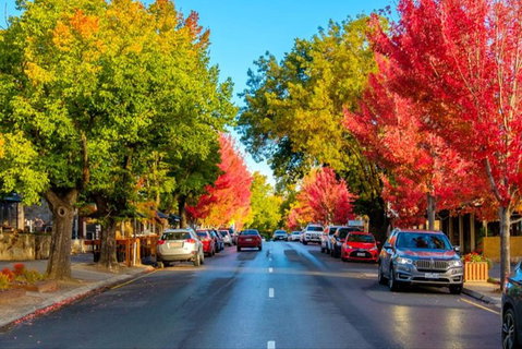 McLaren Vale Wine Region Full-Day Tour From Adelaide - Australia Accommodation 6