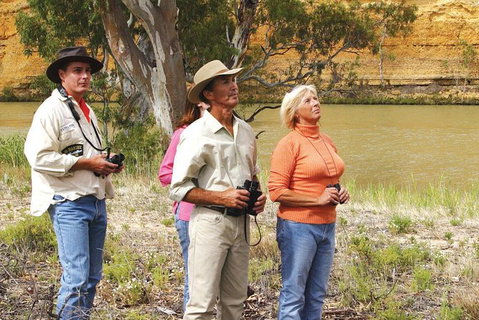 4-Night Murray River Cruise By Classic Paddle Wheeler PS Murray Princess - Australia Accommodation 1
