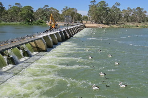 4-Night Murray River Cruise By Classic Paddle Wheeler PS Murray Princess - Australia Accommodation 7