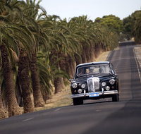 Private Barossa Valley Winery Tour by Classic 1962 Daimler from the Barossa Valley - Australia Accommodation