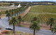 Private Barossa Valley Winery Tour By Classic 1962 Daimler From The Barossa Valley - thumb 6