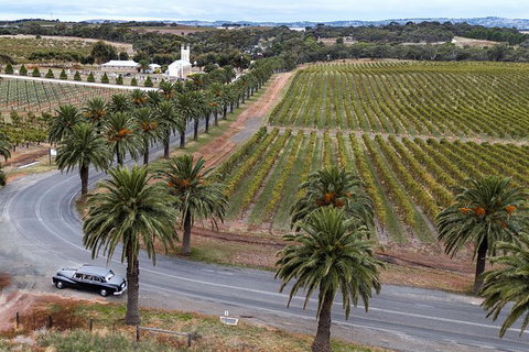 Private Barossa Valley Winery Tour By Classic 1962 Daimler From The Barossa Valley - Australia Accommodation 6