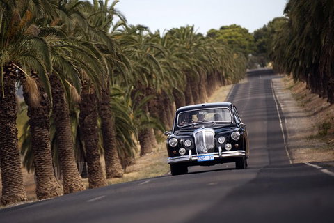 Private Barossa Valley Winery Tour By Classic 1962 Daimler From The Barossa Valley - Australia Accommodation 2