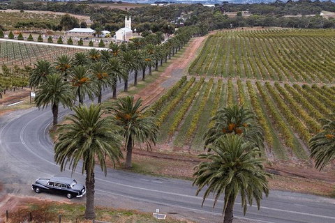Private Barossa Valley Winery Tour By Classic 1962 Daimler From The Barossa Valley - Australia Accommodation 8