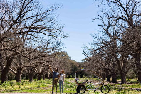 Adelaide 90-Minute Pedicab Tour: Scenic Green & River Experience - Australia Accommodation 1