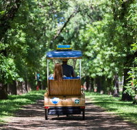 Adelaide 90-Minute Pedicab Tour Scenic Green  River Experience - Australia Accommodation
