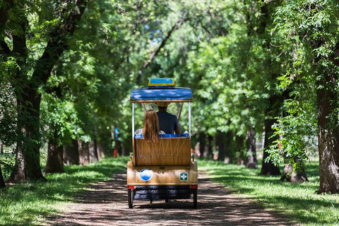 Adelaide 90-Minute Pedicab Tour: Scenic Green & River Experience - Australia Accommodation 0