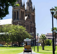 Adelaide 90-Minute Pedicab Tour City Sights Experience - Australia Accommodation