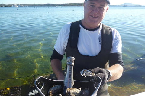 Oyster Farm And Tasting Tour With Hotel Pick-up And Return From Port Lincoln - Australia Accommodation 2