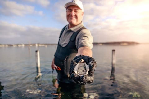 Oyster Farm And Tasting Tour With Hotel Pick-up And Return From Port Lincoln - Australia Accommodation 3