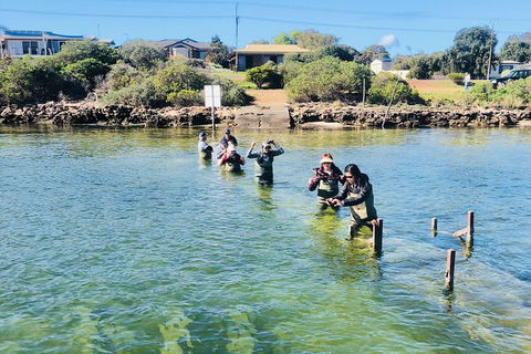 Oyster Farm And Tasting Tour With Hotel Pick-up And Return From Port Lincoln - Australia Accommodation 6