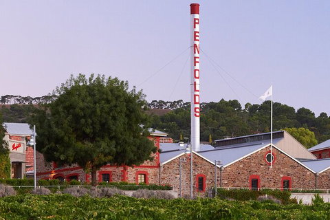 Ultimate Penfolds Magill Estate Experience - Australia Accommodation 3