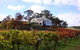 Adelaide Hills Day Tour. Winery Cellar Doors - thumb 1