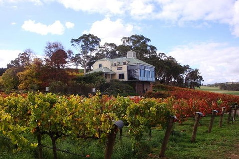 Adelaide Hills Day Tour. Winery Cellar Doors - Australia Accommodation 5