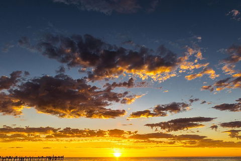 Adelaide Ocean Safari - Twilight Safari - Australia Accommodation 1