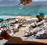 Experience Coffin Bay Short and Sweet Oyster Farm Tour - Australia Accommodation