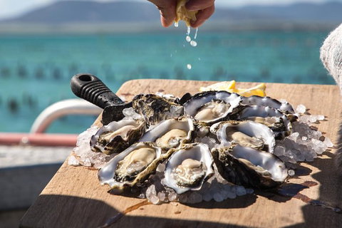 Experience Coffin Bay Short And Sweet Oyster Farm Tour - Australia Accommodation 0
