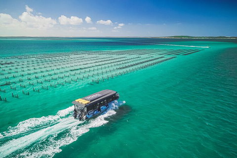 Experience Coffin Bay Short And Sweet Oyster Farm Tour - Australia Accommodation 2