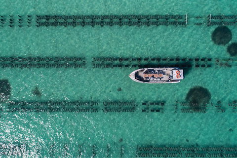 Experience Coffin Bay Short And Sweet Oyster Farm Tour - Australia Accommodation 4