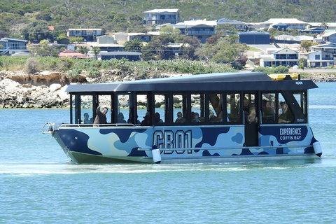 Experience Coffin Bay Short And Sweet Oyster Farm Tour - Australia Accommodation 9