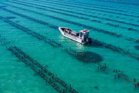 Experience Coffin Bay Short And Sweet Oyster Farm Tour - Australia Accommodation 7