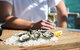 Experience Coffin Bay Short And Sweet Oyster Farm Tour - thumb 8