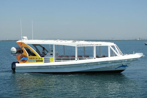 Adelaide Ocean Safari - Wild Dolphin Safari - Australia Accommodation 0