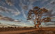 Flinders Ranges Photography Tour - thumb 0