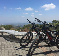 Mt Lofty Wine Wheels  Wildlife - Australia Accommodation