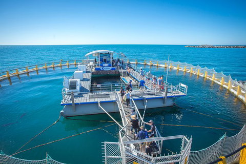 Island Discovery Package - Aquarium Swim & Seafood Tasting Platter - Australia Accommodation 1
