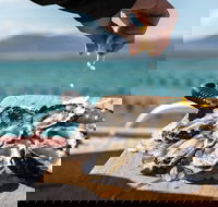 Experience Coffin Bay Oyster Farm and Bay Tour - Australia Accommodation