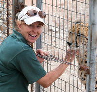 Cheetah Experience at Monarto Safari Park - Australia Accommodation