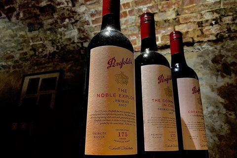 The Ultimate Penfolds Magill Estate Wine & Underground Cellar Tour - Australia Accommodation 5