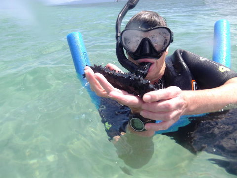 Great Barrier Reef Sailing And Snorkeling Cruise From Port Douglas - Australia Accommodation 4