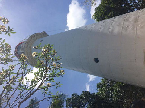 Great Barrier Reef Sailing And Snorkeling Cruise From Port Douglas - Australia Accommodation 2