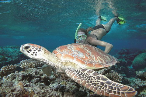 Great Barrier Reef Sailing And Snorkeling Cruise From Port Douglas - Australia Accommodation 0